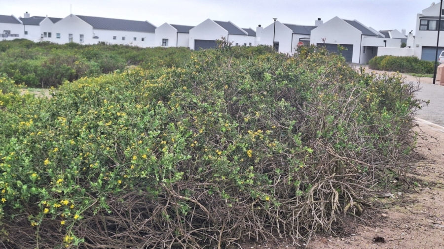0 Bedroom Property for Sale in Laaiplek Western Cape